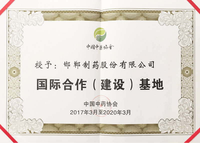 2017年國際合作(建設)基地