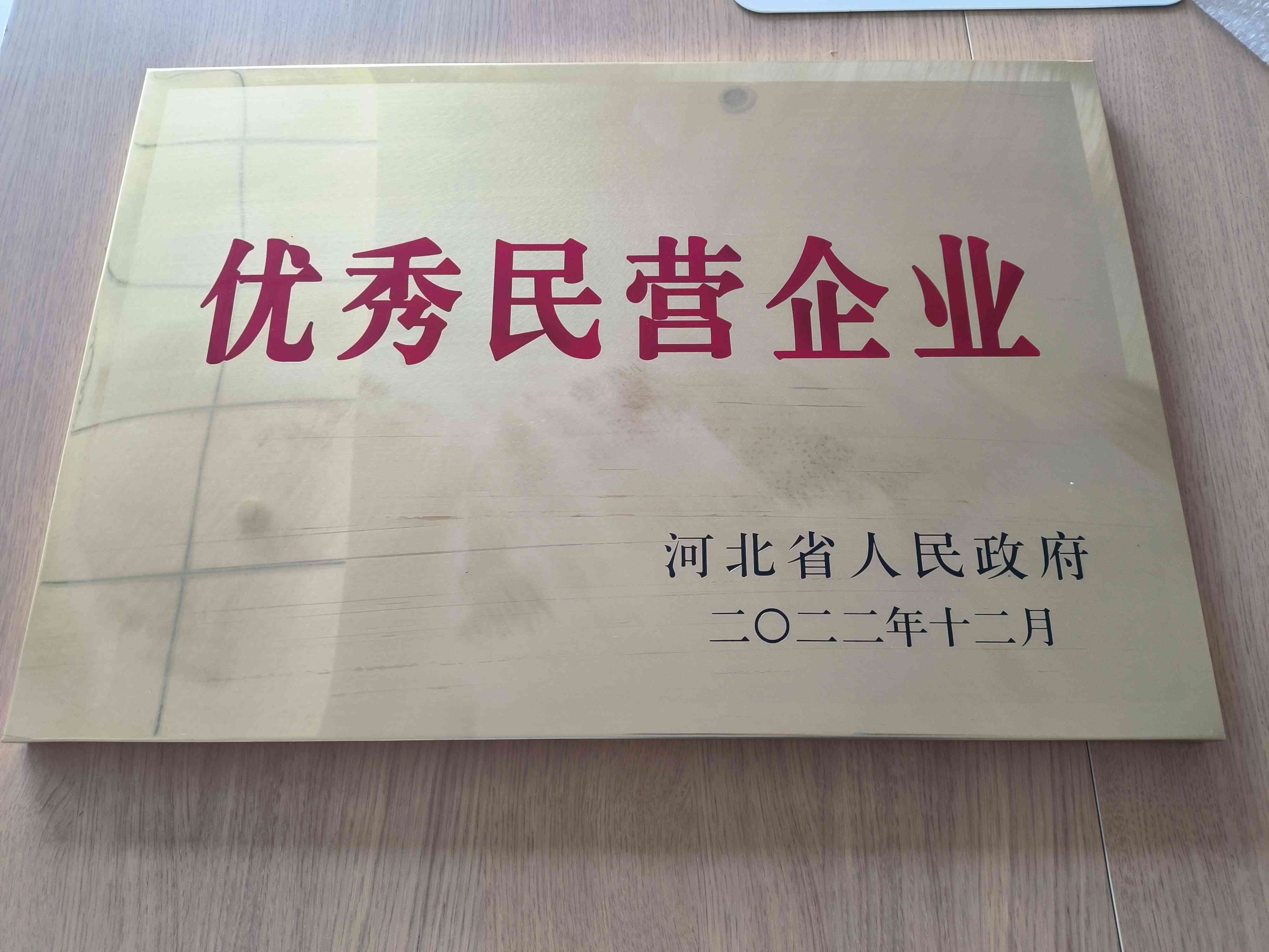 2022年優(yōu)秀民營企業(yè)